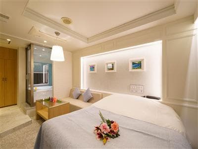 Hotel Pualani（プアラニ）旧リオス五反田 部屋写真