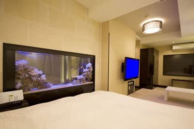 宿屋 湯島御苑 部屋写真